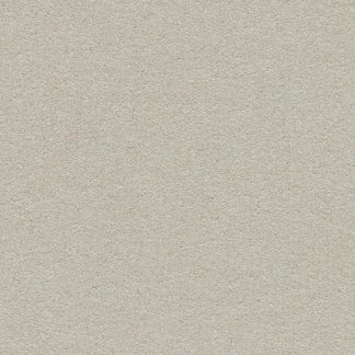 Forbo Oyster Shell 2206 Colored Cork 48 inch Wide Bulletin Board Tackable Surface Wall Covering